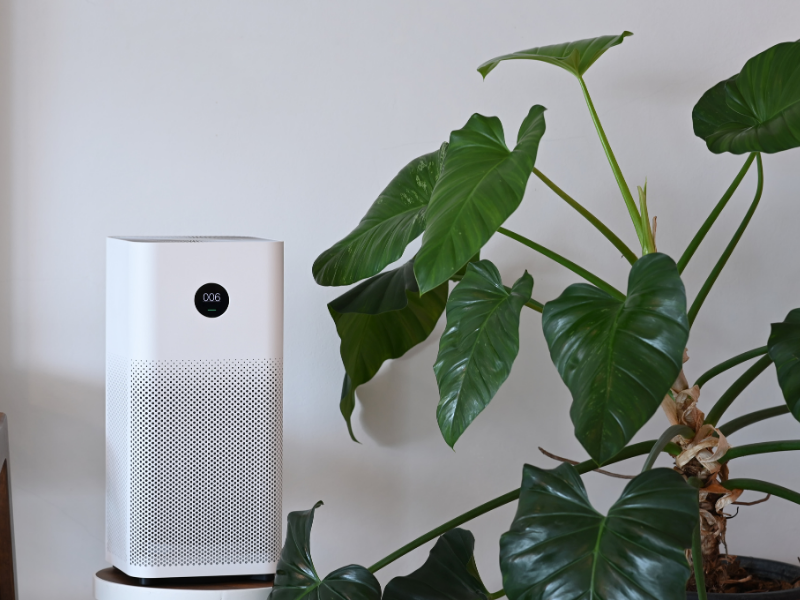 Air purifier near indoor plant